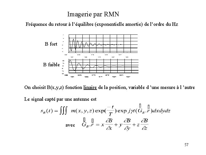 Imagerie par RMN Fréquence du retour à l’équilibre (exponentielle amortie) de l’ordre du Hz