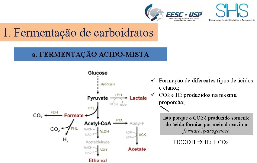 1. Fermentação de carboidratos a. FERMENTAÇÃO ÁCIDO-MISTA ü Formação de diferentes tipos de ácidos