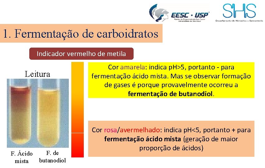 1. Fermentação de carboidratos Indicador vermelho de metila Leitura F. Ácido mista F. de