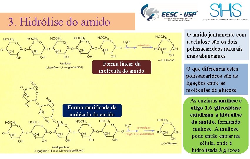 3. Hidrólise do amido O amido juntamente com a celulose são os dois polissacarídeos