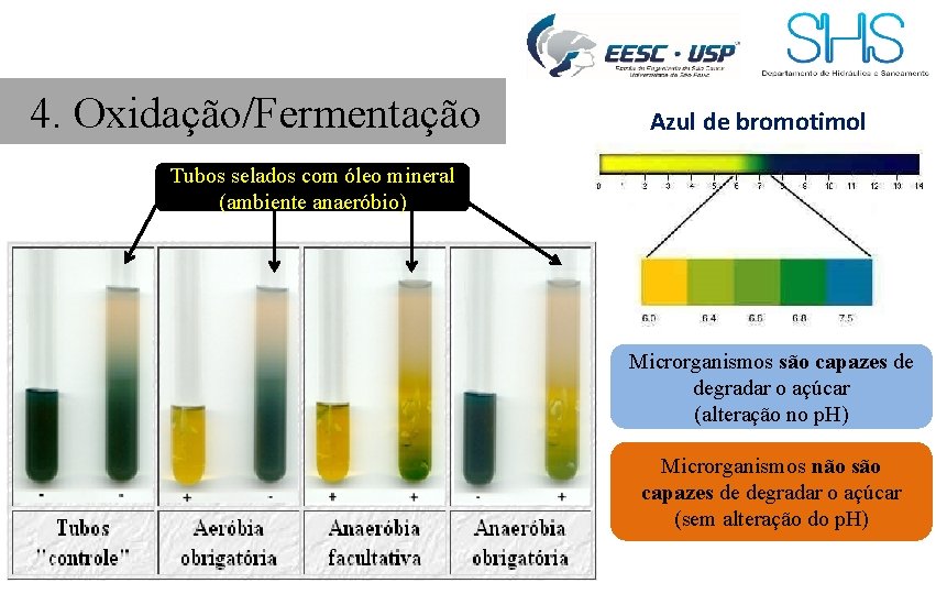 4. Oxidação/Fermentação Azul de bromotimol Tubos selados com óleo mineral (ambiente anaeróbio) Microrganismos são