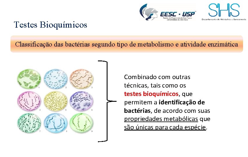 Testes Bioquímicos Classificação das bactérias segundo tipo de metabolismo e atividade enzimática Combinado com