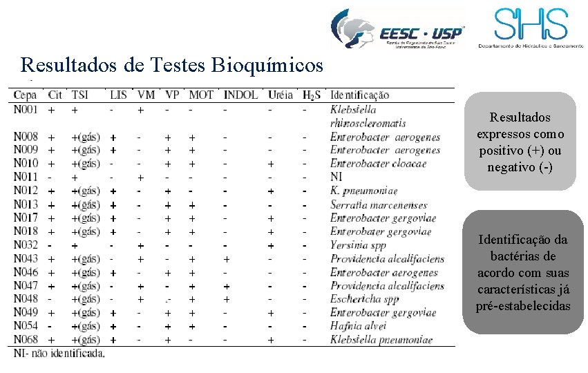 Resultados de Testes Bioquímicos Resultados expressos como positivo (+) ou negativo (-) Identificação da
