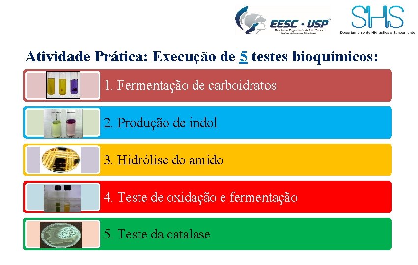 Atividade Prática: Execução de 5 testes bioquímicos: 1. Fermentação de carboidratos 2. Produção de