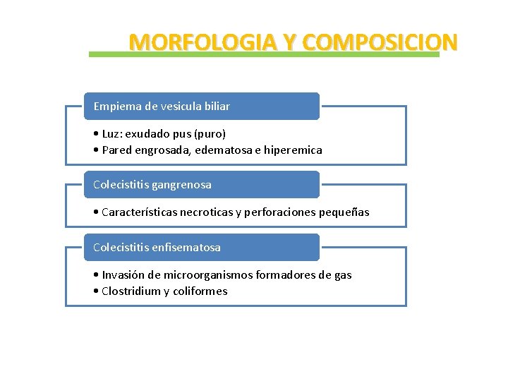 MORFOLOGIA Y COMPOSICION Empiema de vesicula biliar • Luz: exudado pus (puro) • Pared