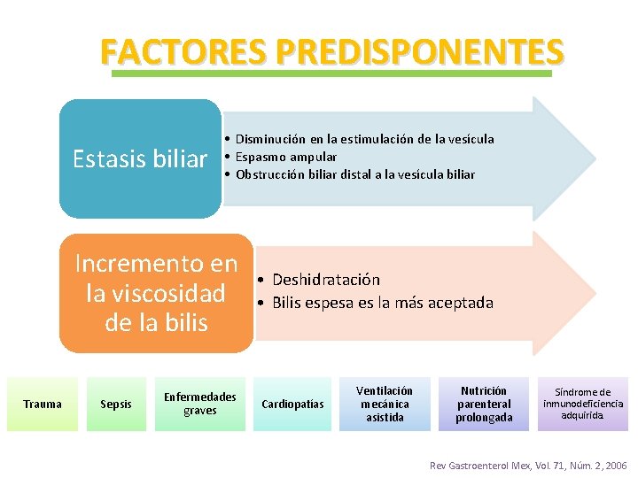 FACTORES PREDISPONENTES Estasis biliar • Disminución en la estimulación de la vesícula • Espasmo