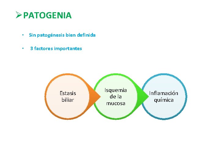 ØPATOGENIA • Sin patogénesis bien definida • 3 factores importantes Estasis biliar Isquemia de