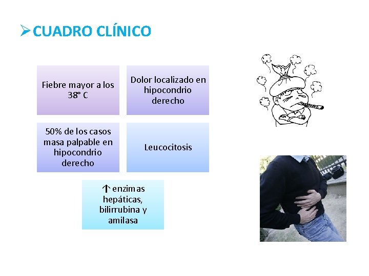 ØCUADRO CLÍNICO Fiebre mayor a los 38° C Dolor localizado en hipocondrio derecho 50%