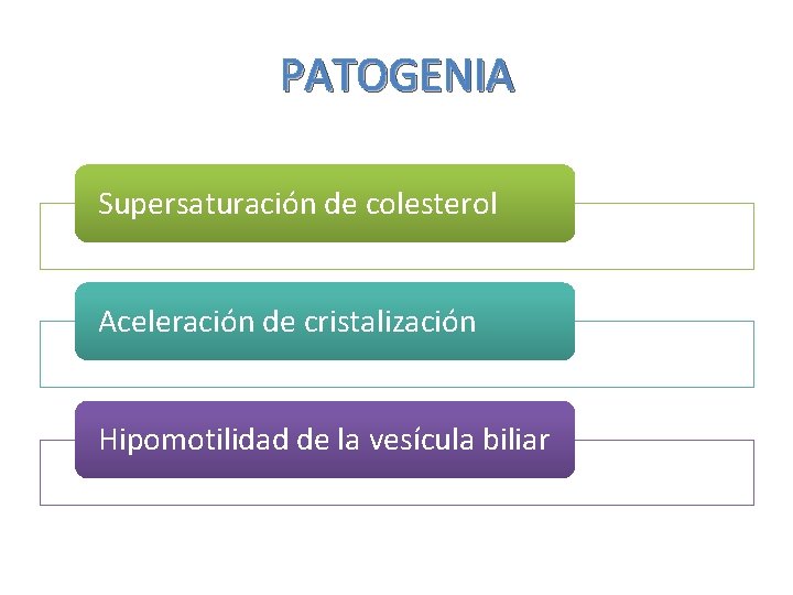 PATOGENIA Supersaturación de colesterol Aceleración de cristalización Hipomotilidad de la vesícula biliar 