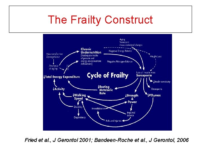 The Frailty Construct Fried et al. , J Gerontol 2001; Bandeen-Roche et al. ,