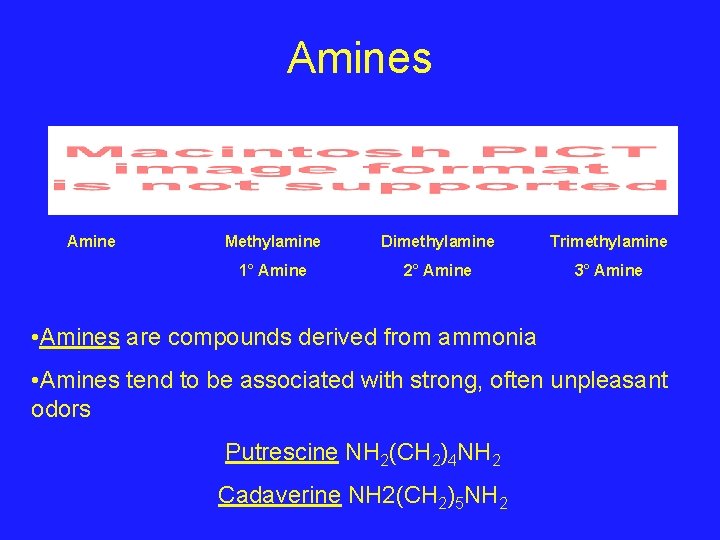 Amines Amine Methylamine Dimethylamine Trimethylamine 1° Amine 2° Amine 3° Amine • Amines are