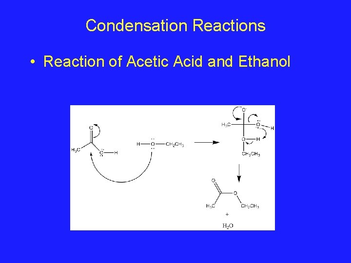 Condensation Reactions • Reaction of Acetic Acid and Ethanol 