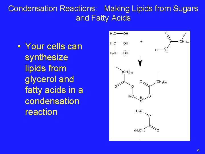 Condensation Reactions: Making Lipids from Sugars and Fatty Acids • Your cells can synthesize