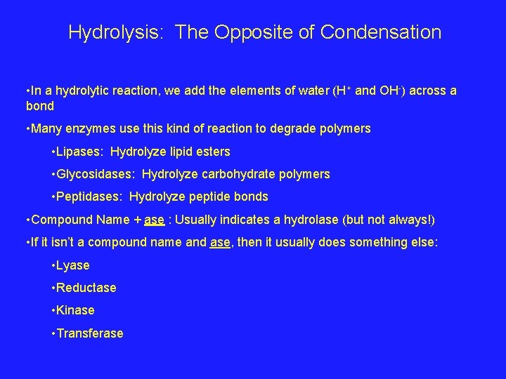 Hydrolysis: The Opposite of Condensation • In a hydrolytic reaction, we add the elements
