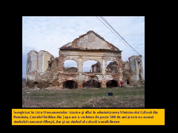 Înregistrat în Lista Monumentelor Istorice şi aflat în administrarea Ministerului Culturii din România, Castelul