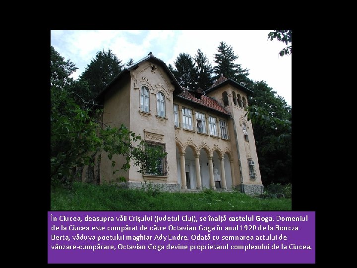 În Ciucea, deasupra văii Crişului (judetul Cluj), se înalţă castelul Goga. Domeniul de la