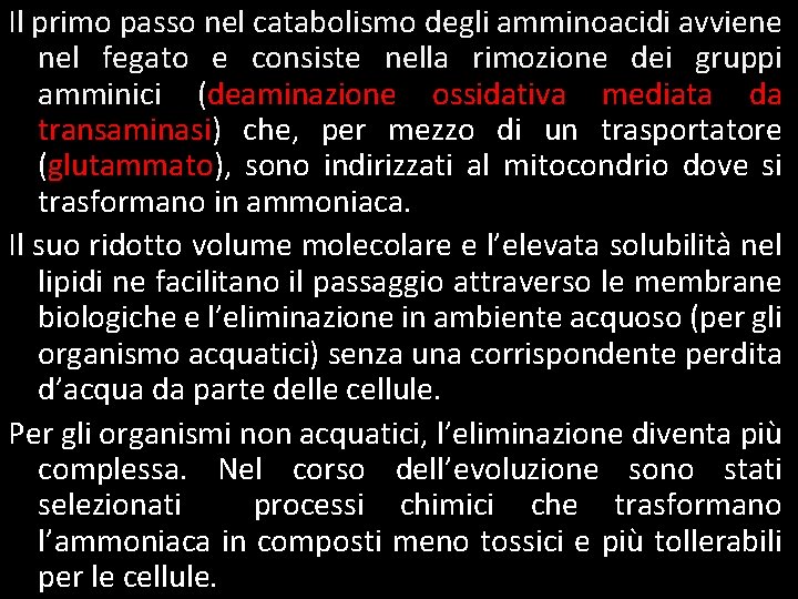 Il primo passo nel catabolismo degli amminoacidi avviene nel fegato e consiste nella rimozione