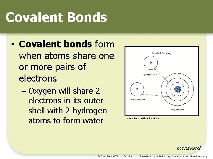 Covalent Bonds • Covalent bonds form when atoms share one or more pairs of