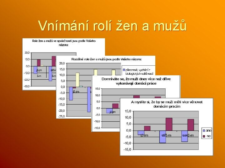 Vnímání rolí žen a mužů 