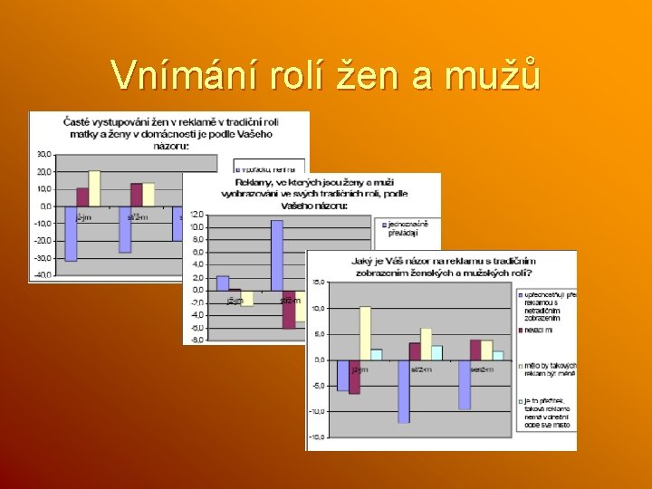 Vnímání rolí žen a mužů 