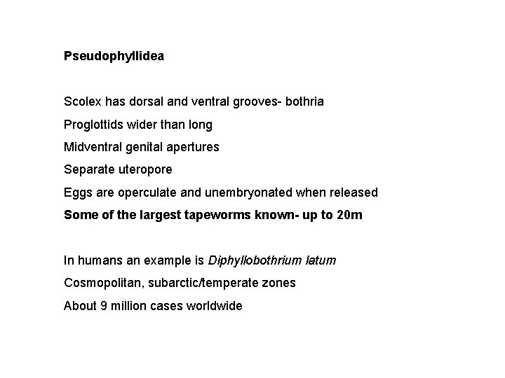 Pseudophyllidea Scolex has dorsal and ventral grooves- bothria Proglottids wider than long Midventral genital