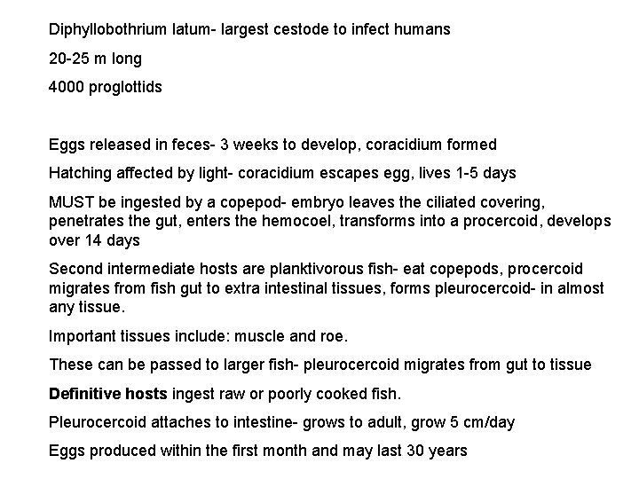 Diphyllobothrium latum- largest cestode to infect humans 20 -25 m long 4000 proglottids Eggs