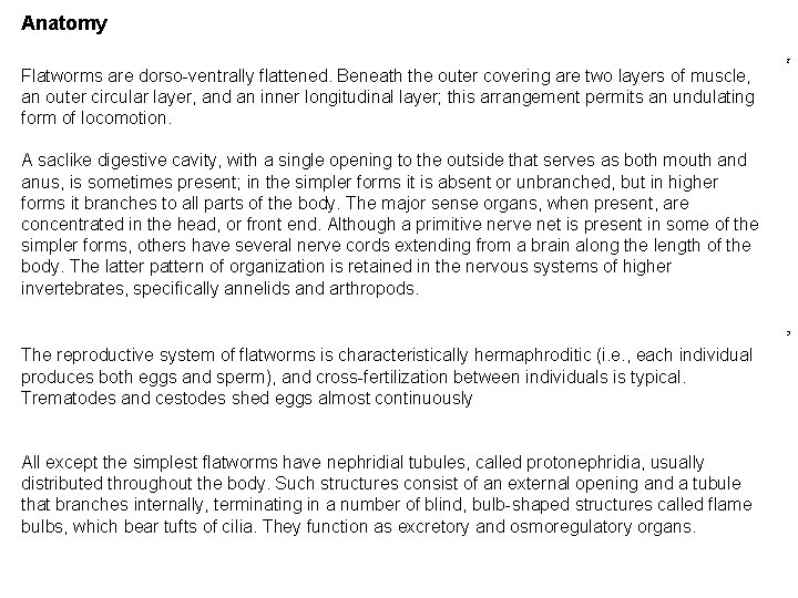 Anatomy 2 Flatworms are dorso-ventrally flattened. Beneath the outer covering are two layers of