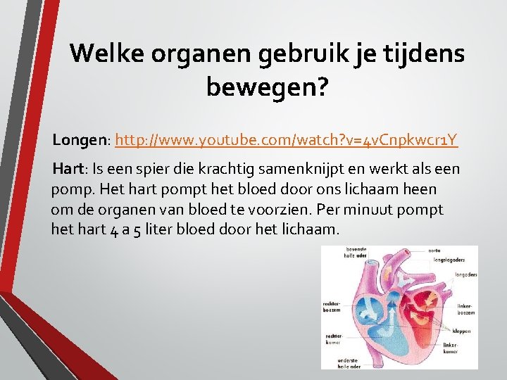 Welke organen gebruik je tijdens bewegen? Longen: http: //www. youtube. com/watch? v=4 v. Cnpkwcr