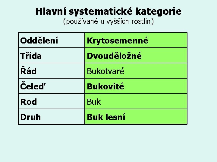 Hlavní systematické kategorie (používané u vyšších rostlin) Oddělení Krytosemenné Třída Dvouděložné Řád Bukotvaré Čeleď