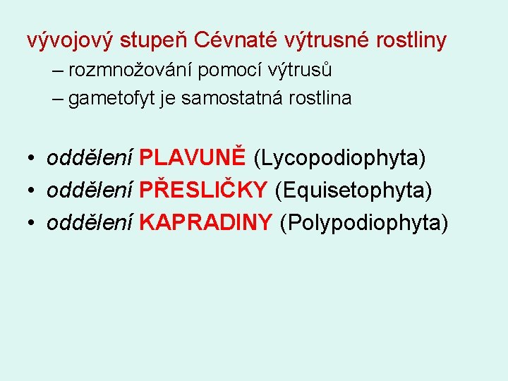 vývojový stupeň Cévnaté výtrusné rostliny – rozmnožování pomocí výtrusů – gametofyt je samostatná rostlina