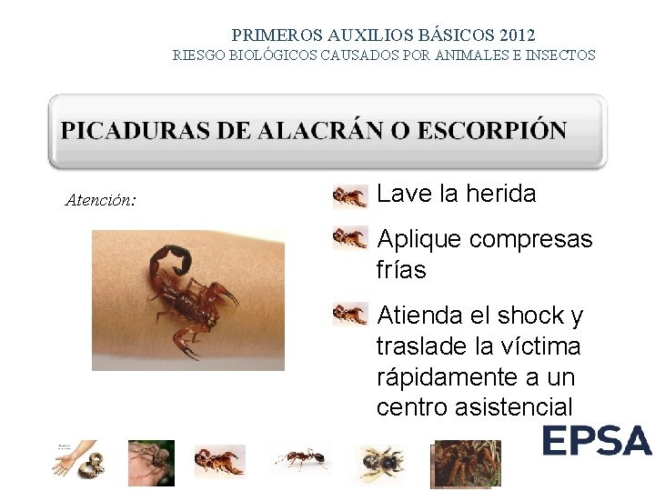 PRIMEROS AUXILIOS BÁSICOS 2012 RIESGO BIOLÓGICOS CAUSADOS POR ANIMALES E INSECTOS Atención: ¯ Lave PRIMEROS AUXILIOS BÁSICOS 2012 RIESGO BIOLÓGICOS CAUSADOS POR ANIMALES E INSECTOS Atención: ¯ Lave