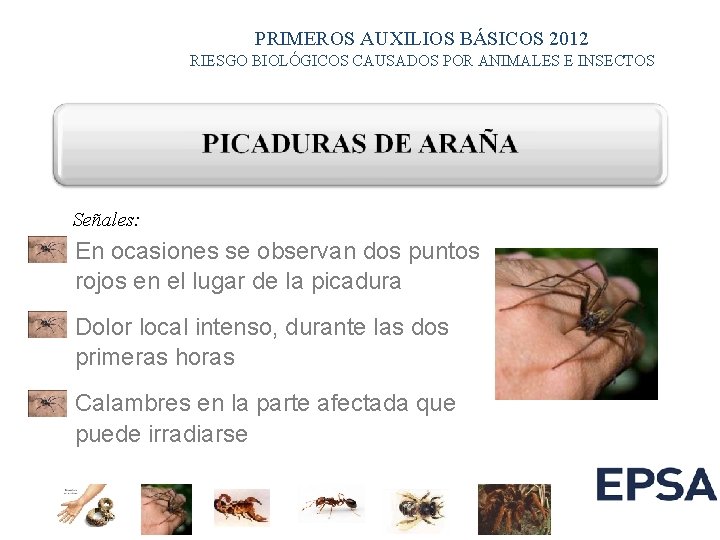 PRIMEROS AUXILIOS BÁSICOS 2012 RIESGO BIOLÓGICOS CAUSADOS POR ANIMALES E INSECTOS Señales: En ocasiones PRIMEROS AUXILIOS BÁSICOS 2012 RIESGO BIOLÓGICOS CAUSADOS POR ANIMALES E INSECTOS Señales: En ocasiones