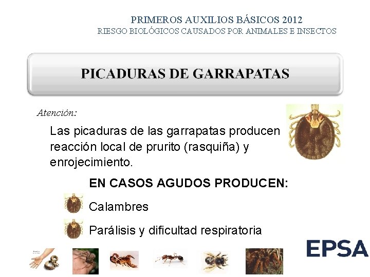 PRIMEROS AUXILIOS BÁSICOS 2012 RIESGO BIOLÓGICOS CAUSADOS POR ANIMALES E INSECTOS Atención: Las picaduras