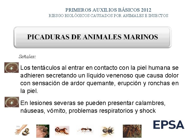 PRIMEROS AUXILIOS BÁSICOS 2012 RIESGO BIOLÓGICOS CAUSADOS POR ANIMALES E INSECTOS Señales: Los tentáculos PRIMEROS AUXILIOS BÁSICOS 2012 RIESGO BIOLÓGICOS CAUSADOS POR ANIMALES E INSECTOS Señales: Los tentáculos