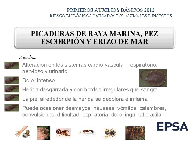 PRIMEROS AUXILIOS BÁSICOS 2012 RIESGO BIOLÓGICOS CAUSADOS POR ANIMALES E INSECTOS Señales: Alteración en PRIMEROS AUXILIOS BÁSICOS 2012 RIESGO BIOLÓGICOS CAUSADOS POR ANIMALES E INSECTOS Señales: Alteración en