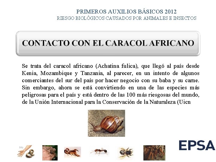 PRIMEROS AUXILIOS BÁSICOS 2012 RIESGO BIOLÓGICOS CAUSADOS POR ANIMALES E INSECTOS Se trata del PRIMEROS AUXILIOS BÁSICOS 2012 RIESGO BIOLÓGICOS CAUSADOS POR ANIMALES E INSECTOS Se trata del
