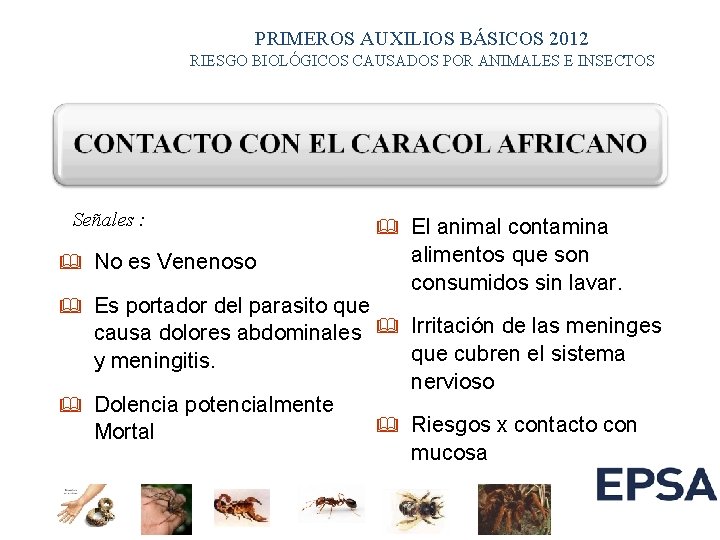 PRIMEROS AUXILIOS BÁSICOS 2012 RIESGO BIOLÓGICOS CAUSADOS POR ANIMALES E INSECTOS Señales : &