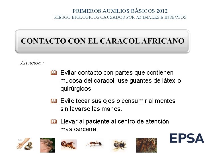 PRIMEROS AUXILIOS BÁSICOS 2012 RIESGO BIOLÓGICOS CAUSADOS POR ANIMALES E INSECTOS Atención : &