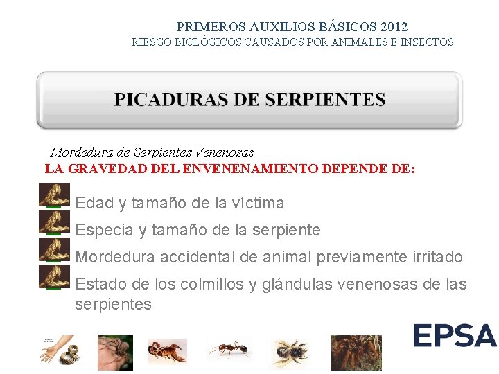 PRIMEROS AUXILIOS BÁSICOS 2012 RIESGO BIOLÓGICOS CAUSADOS POR ANIMALES E INSECTOS Mordedura de Serpientes PRIMEROS AUXILIOS BÁSICOS 2012 RIESGO BIOLÓGICOS CAUSADOS POR ANIMALES E INSECTOS Mordedura de Serpientes