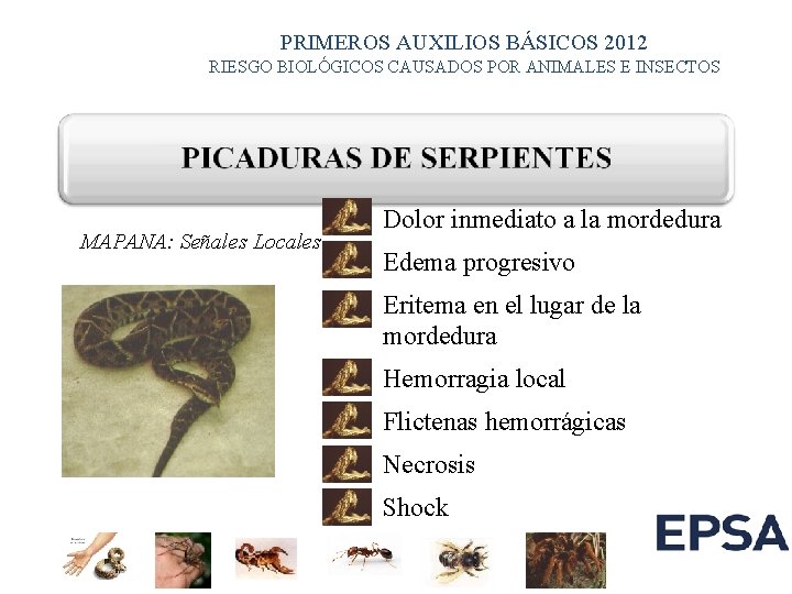 PRIMEROS AUXILIOS BÁSICOS 2012 RIESGO BIOLÓGICOS CAUSADOS POR ANIMALES E INSECTOS MAPANA: Señales Locales PRIMEROS AUXILIOS BÁSICOS 2012 RIESGO BIOLÓGICOS CAUSADOS POR ANIMALES E INSECTOS MAPANA: Señales Locales