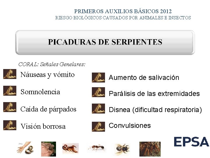 PRIMEROS AUXILIOS BÁSICOS 2012 RIESGO BIOLÓGICOS CAUSADOS POR ANIMALES E INSECTOS CORAL: Señales Genelares:
