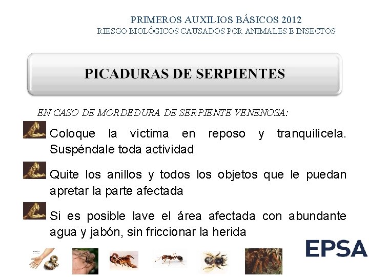 PRIMEROS AUXILIOS BÁSICOS 2012 RIESGO BIOLÓGICOS CAUSADOS POR ANIMALES E INSECTOS EN CASO DE PRIMEROS AUXILIOS BÁSICOS 2012 RIESGO BIOLÓGICOS CAUSADOS POR ANIMALES E INSECTOS EN CASO DE