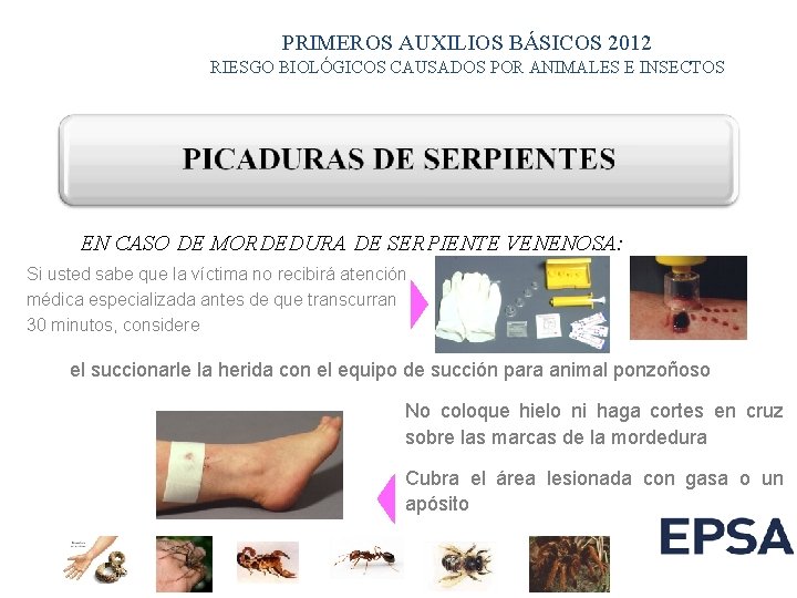 PRIMEROS AUXILIOS BÁSICOS 2012 RIESGO BIOLÓGICOS CAUSADOS POR ANIMALES E INSECTOS EN CASO DE