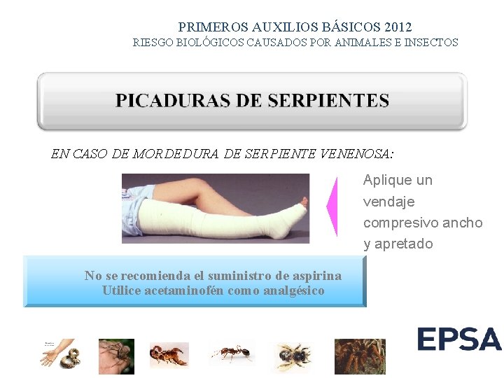 PRIMEROS AUXILIOS BÁSICOS 2012 RIESGO BIOLÓGICOS CAUSADOS POR ANIMALES E INSECTOS EN CASO DE PRIMEROS AUXILIOS BÁSICOS 2012 RIESGO BIOLÓGICOS CAUSADOS POR ANIMALES E INSECTOS EN CASO DE
