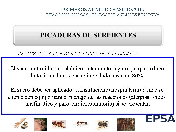 PRIMEROS AUXILIOS BÁSICOS 2012 RIESGO BIOLÓGICOS CAUSADOS POR ANIMALES E INSECTOS EN CASO DE PRIMEROS AUXILIOS BÁSICOS 2012 RIESGO BIOLÓGICOS CAUSADOS POR ANIMALES E INSECTOS EN CASO DE