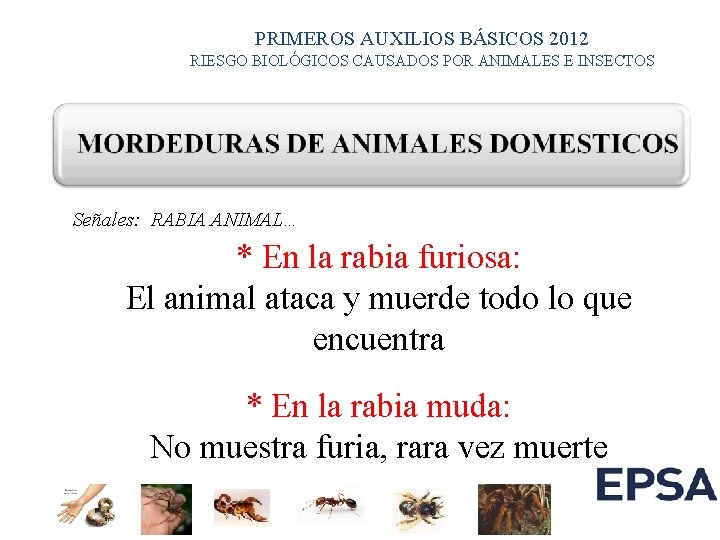 PRIMEROS AUXILIOS BÁSICOS 2012 RIESGO BIOLÓGICOS CAUSADOS POR ANIMALES E INSECTOS Señales: RABIA ANIMAL…