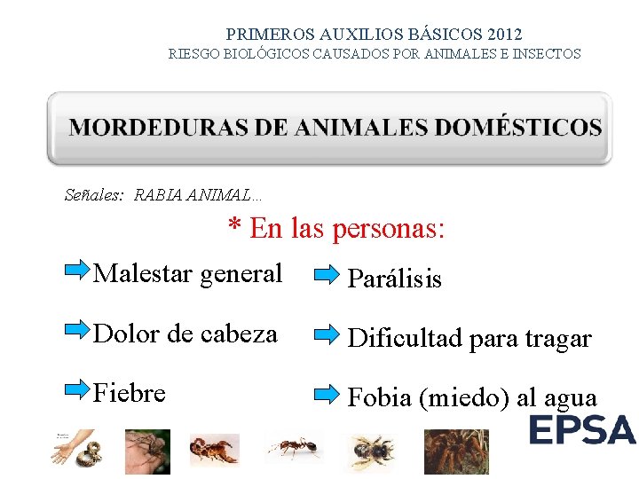 PRIMEROS AUXILIOS BÁSICOS 2012 RIESGO BIOLÓGICOS CAUSADOS POR ANIMALES E INSECTOS Señales: RABIA ANIMAL… PRIMEROS AUXILIOS BÁSICOS 2012 RIESGO BIOLÓGICOS CAUSADOS POR ANIMALES E INSECTOS Señales: RABIA ANIMAL…