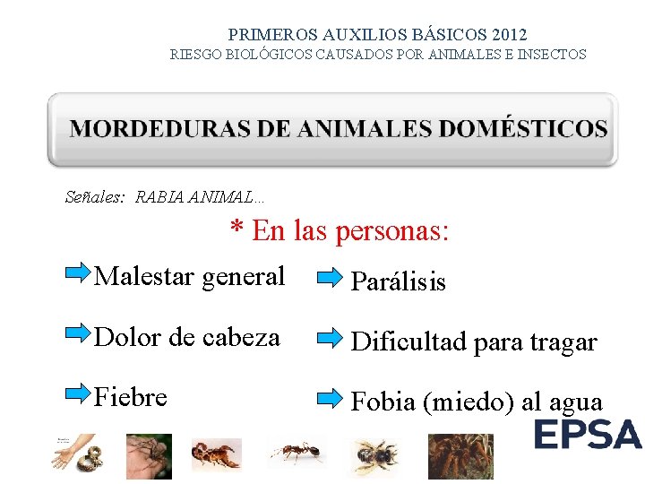 PRIMEROS AUXILIOS BÁSICOS 2012 RIESGO BIOLÓGICOS CAUSADOS POR ANIMALES E INSECTOS Señales: RABIA ANIMAL…