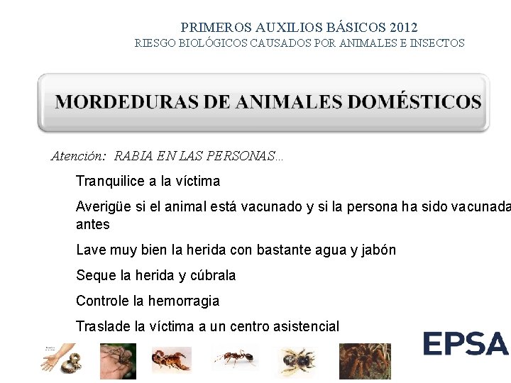 PRIMEROS AUXILIOS BÁSICOS 2012 RIESGO BIOLÓGICOS CAUSADOS POR ANIMALES E INSECTOS Atención: RABIA EN PRIMEROS AUXILIOS BÁSICOS 2012 RIESGO BIOLÓGICOS CAUSADOS POR ANIMALES E INSECTOS Atención: RABIA EN