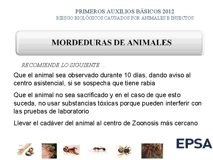 PRIMEROS AUXILIOS BÁSICOS 2012 RIESGO BIOLÓGICOS CAUSADOS POR ANIMALES E INSECTOS RECOMIENDE LO SIGUIENTE PRIMEROS AUXILIOS BÁSICOS 2012 RIESGO BIOLÓGICOS CAUSADOS POR ANIMALES E INSECTOS RECOMIENDE LO SIGUIENTE